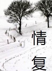 圣诞老人搭末班车4
