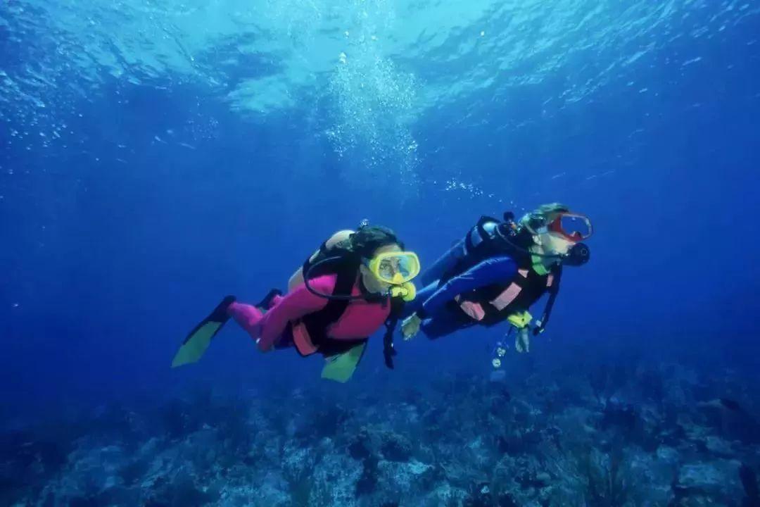 牛油果面包